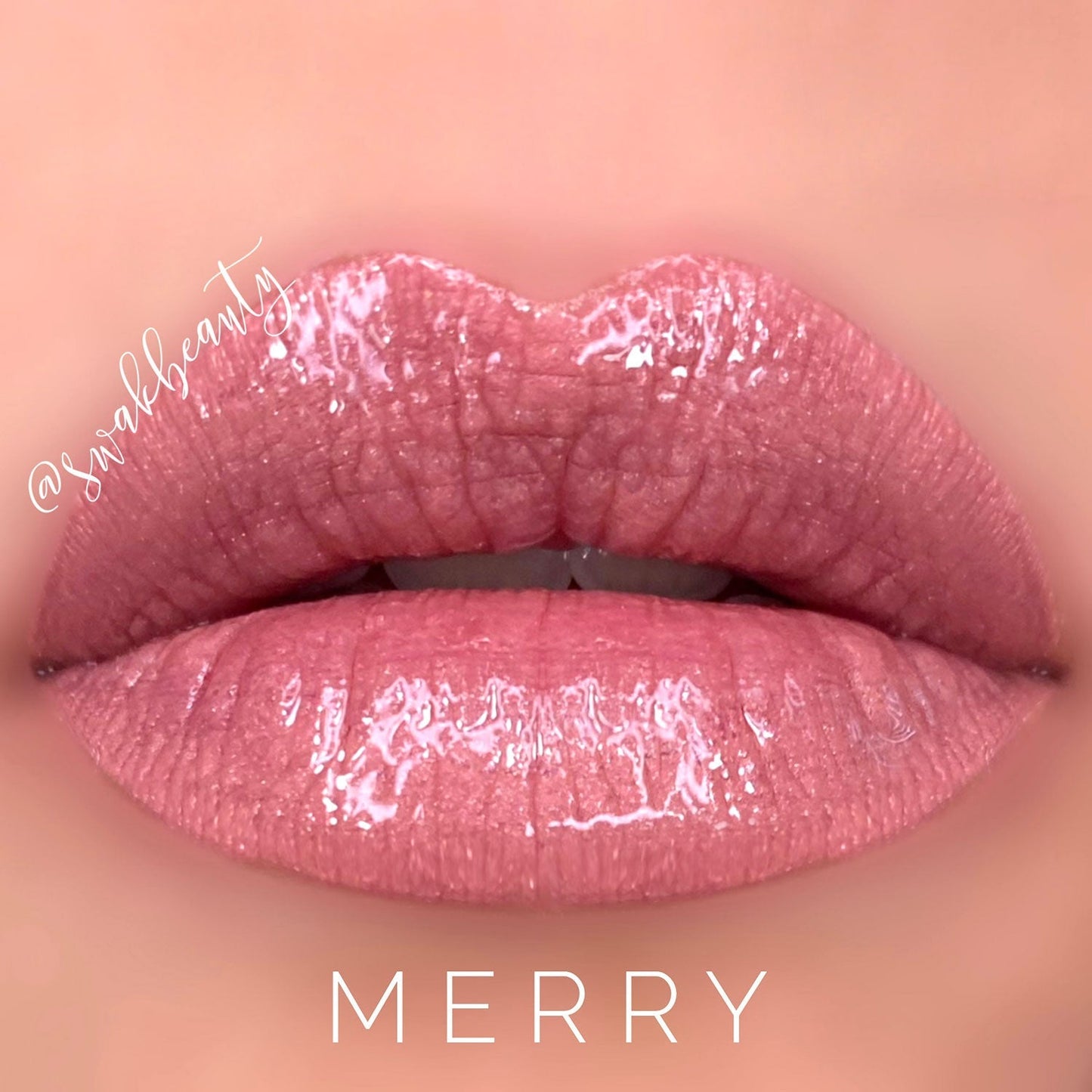 MERRY AND BRIGHT MINI LIP & EYE COLLECTION SET of 4 (2022) - LipSense/ShadowSense